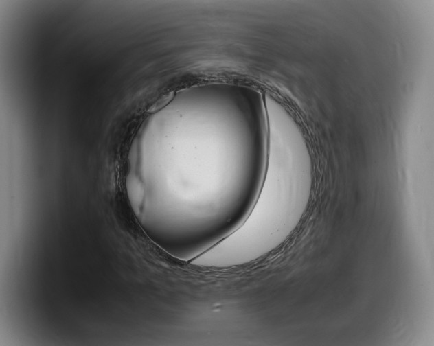X0000099470965200805090810