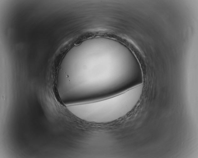 X0000099470967200805090810