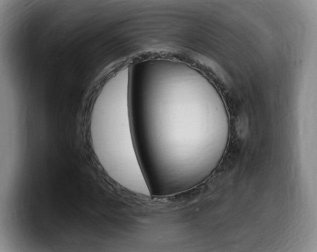 X0000099470968200805090810