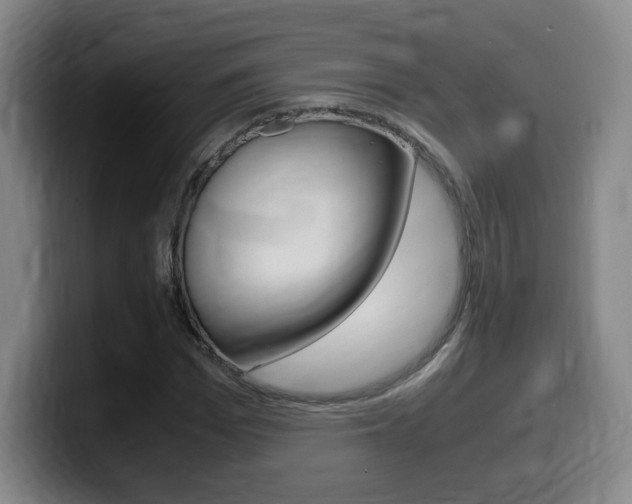 X0000099470969200805090810