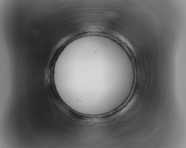 X0000099470970200805090810