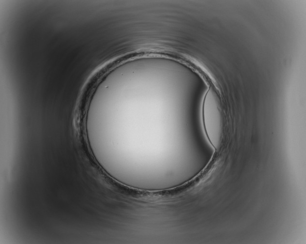 X0000099470971200805090810