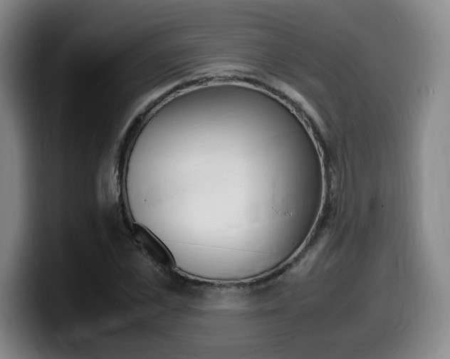 X0000099470973200805090810