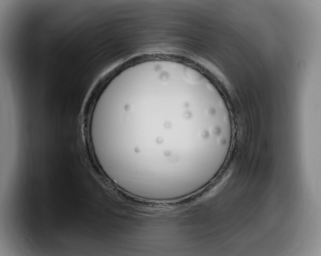 X0000099470974200805090810