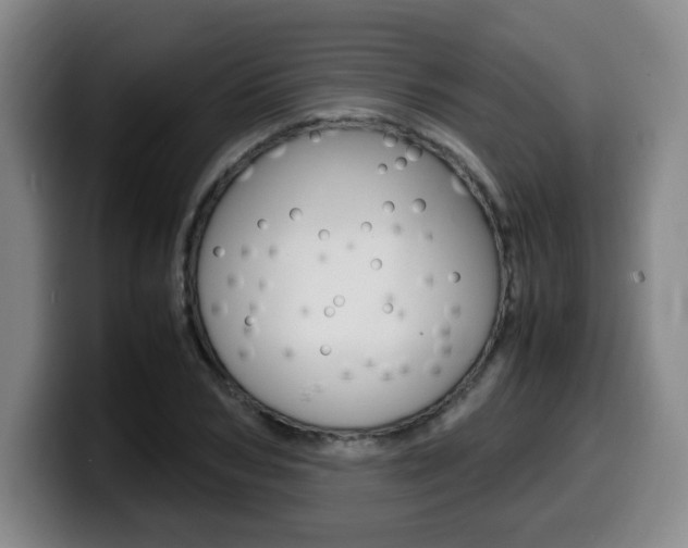 X0000099470978200805090810