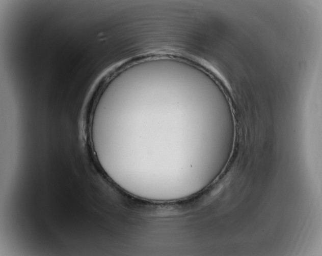 X0000099470979200805090810