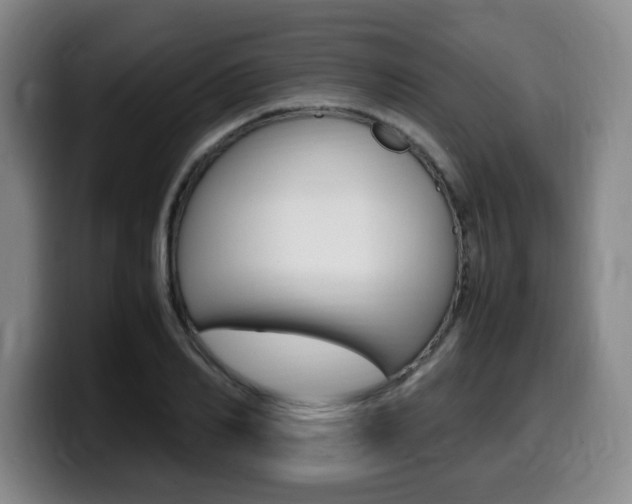 X0000099470982200805090810