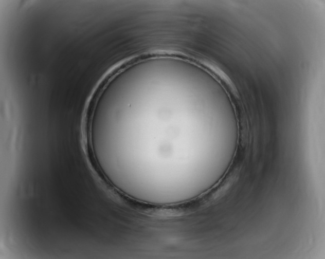 X0000099470984200805090810