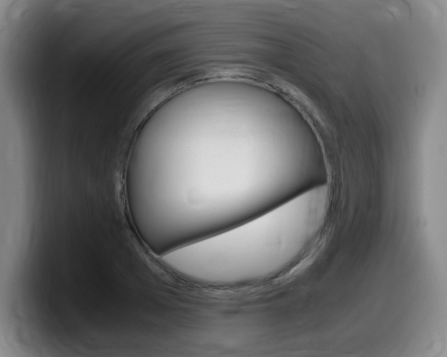 X0000099470985200805090810