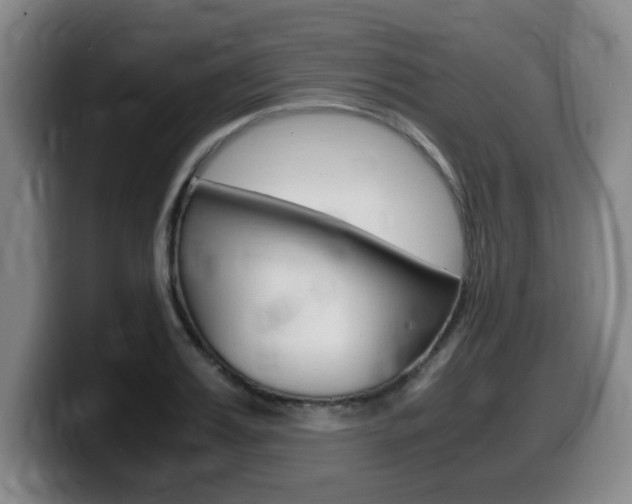 X0000099470987200805090810