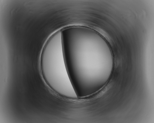 X0000099470988200805090810