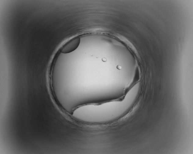 X0000099470989200805090810