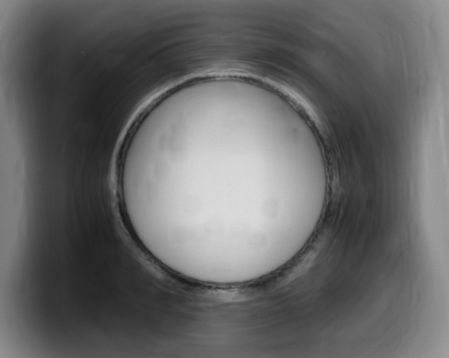X0000099470990200805090810
