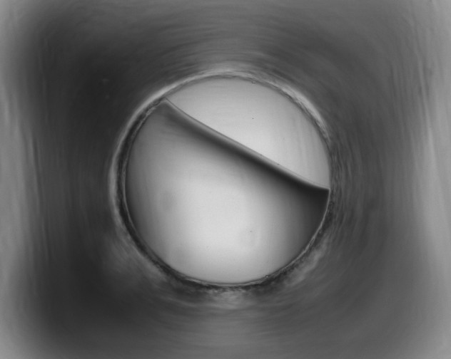 X0000099470991200805090810