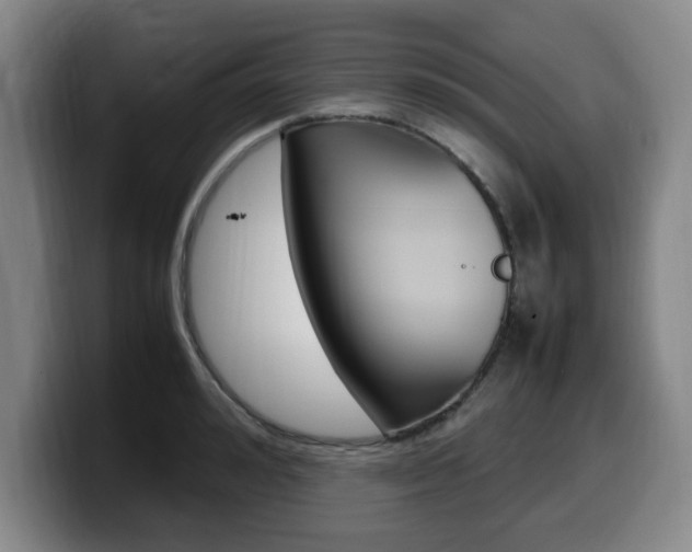 X0000099470992200805090810