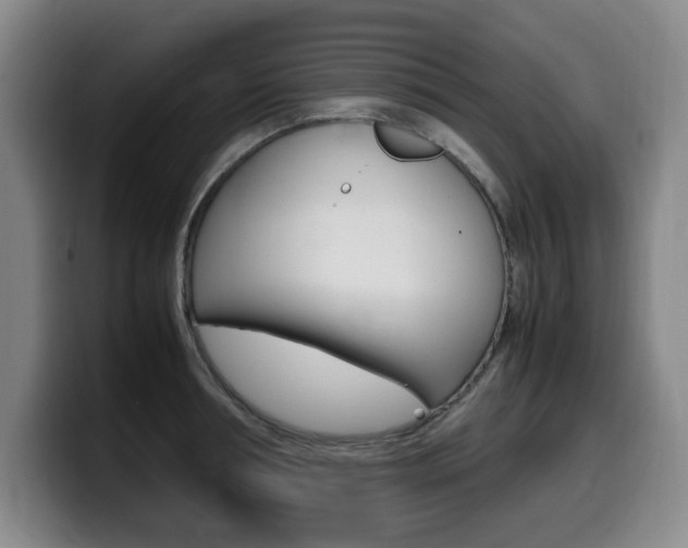 X0000099470994200805090810