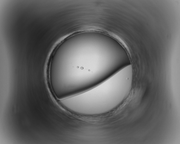 X0000099470995200805090810