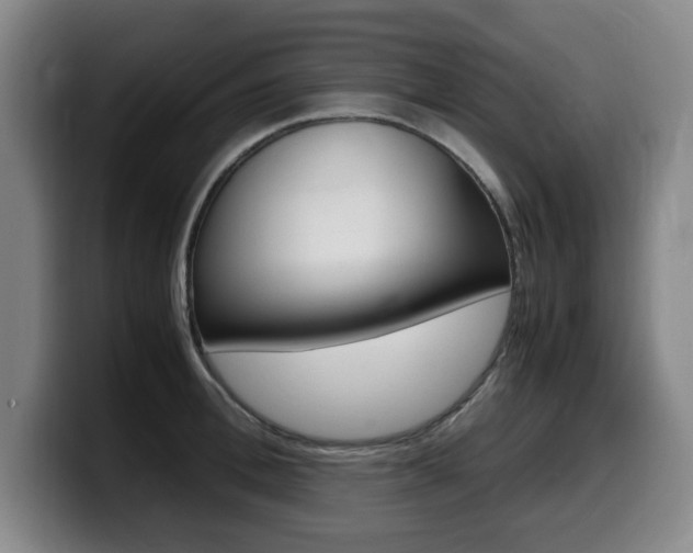 X0000099470996200805090810