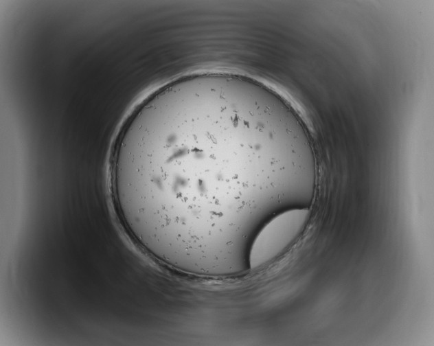 X0000099470998200805090810
