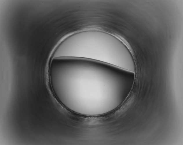 X0000099471000200805090810