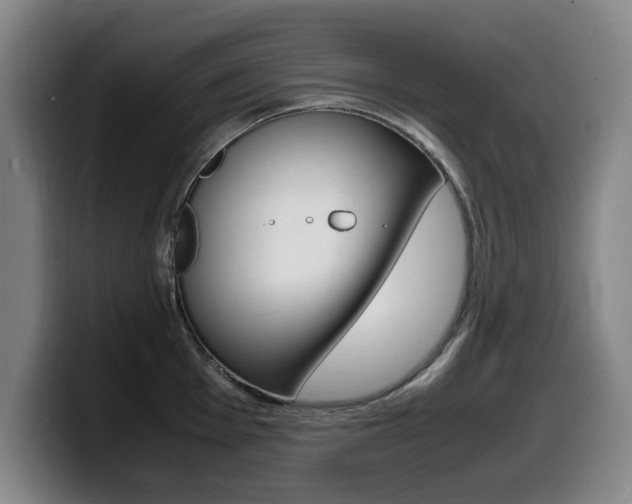 X0000099471001200805090810