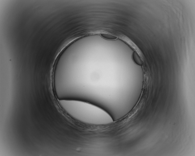 X0000099471002200805090810