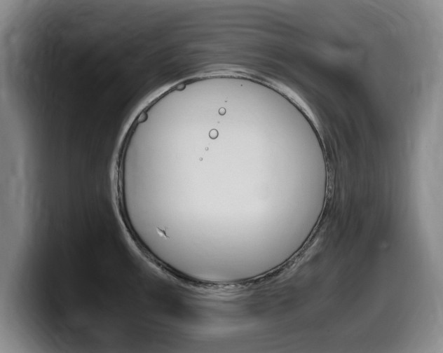 X0000099471003200805090810