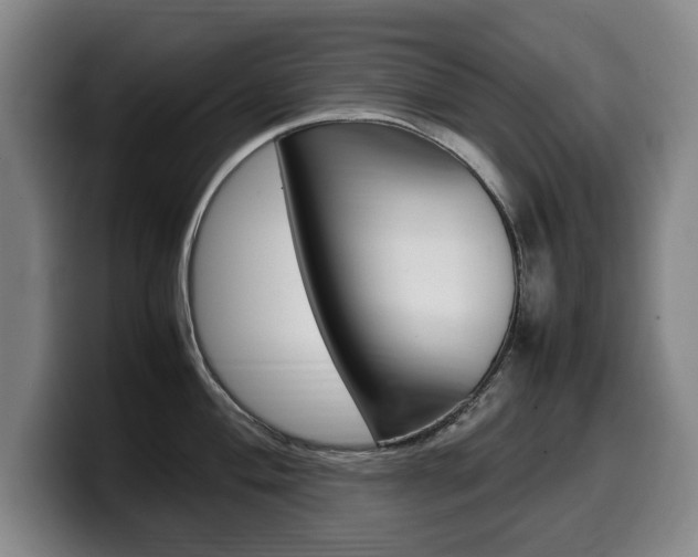 X0000099471004200805090810