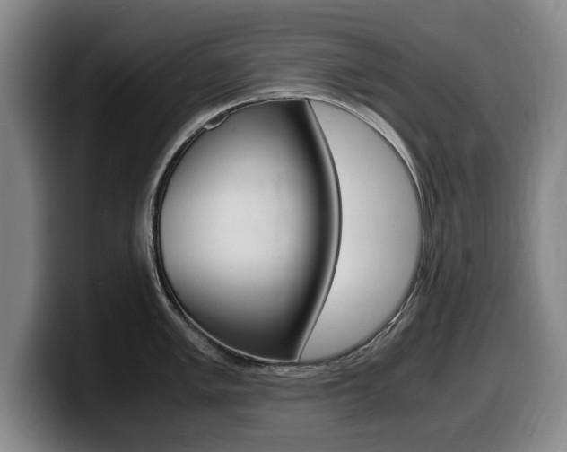 X0000099471005200805090809