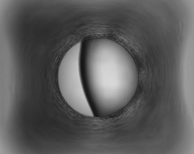 X0000099471009200805090809