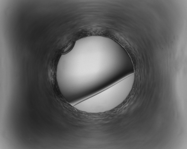 X0000099471010200805090809