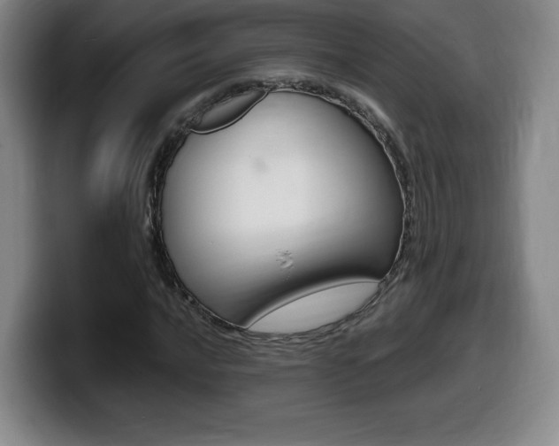 X0000099471016200805090809