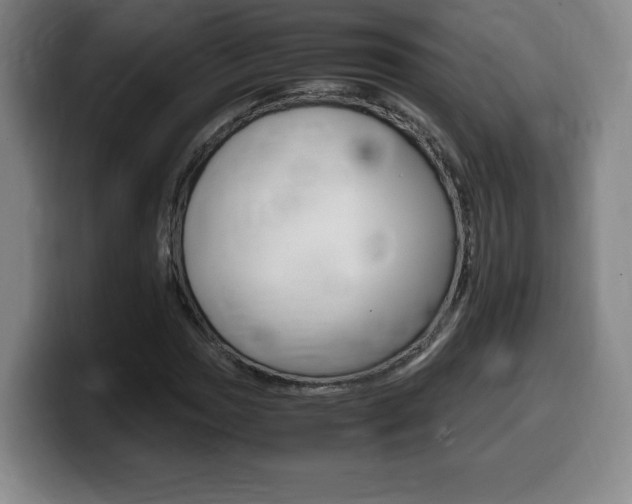 X0000099471017200805090809