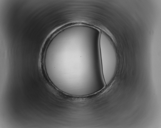 X0000099471020200805090809