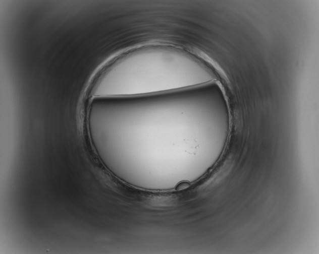 X0000099471021200805090809