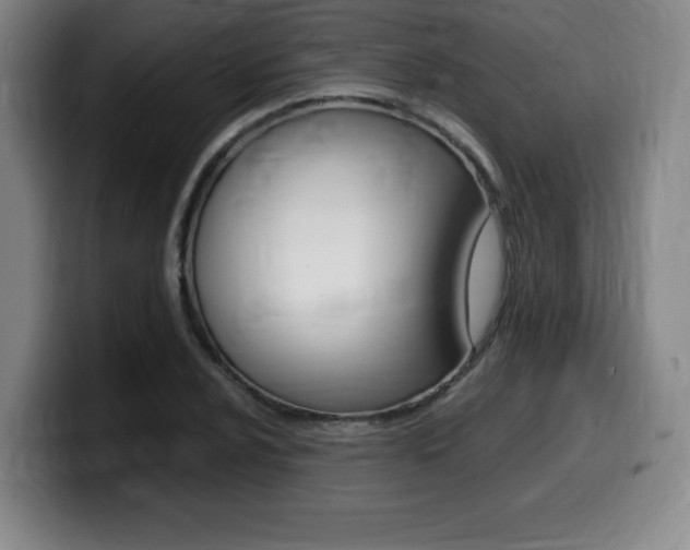 X0000099471024200805090809