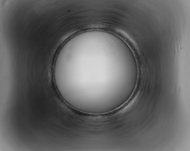 X0000099471025200805090809