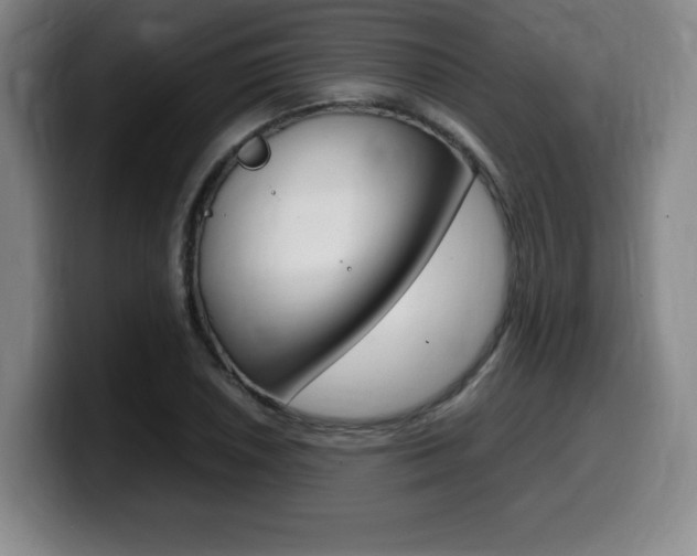 X0000099471026200805090809