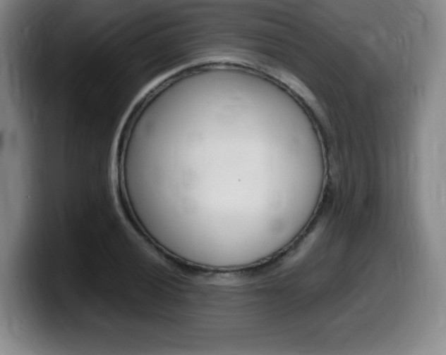 X0000099471028200805090809