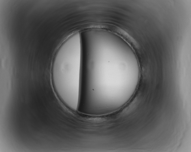 X0000099471033200805090809