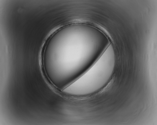 X0000099471034200805090809