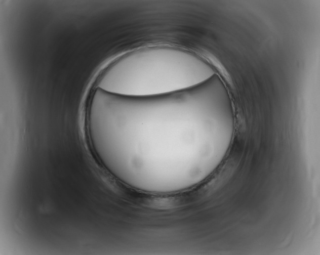 X0000099471035200805090809