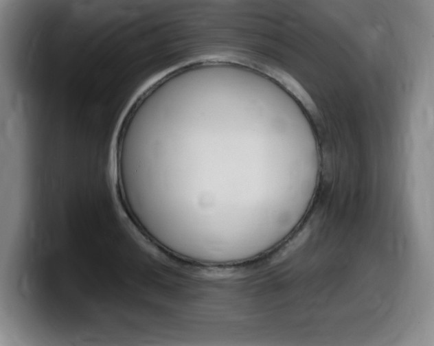 X0000099471036200805090809