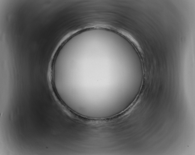X0000099471040200805090809