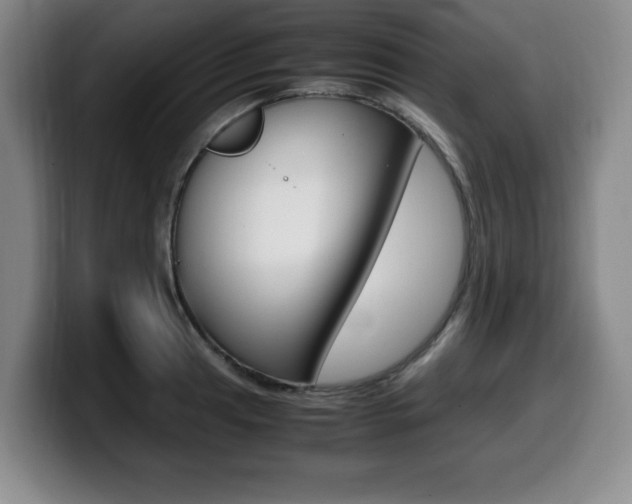 X0000099471041200805090809