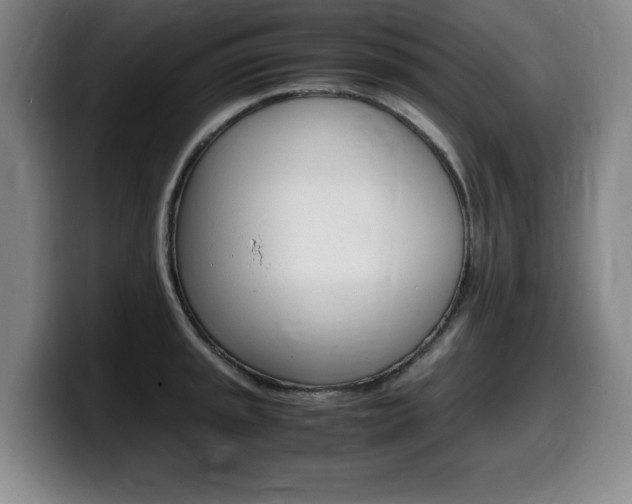X0000099471045200805090809