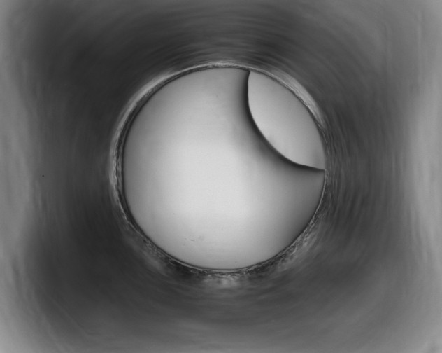 X0000099471051200805090809