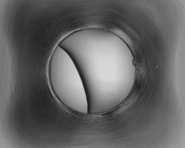 X0000099471055200805090809