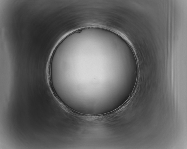 X0000099471056200805090809