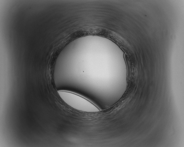 X0000099471058200805090809